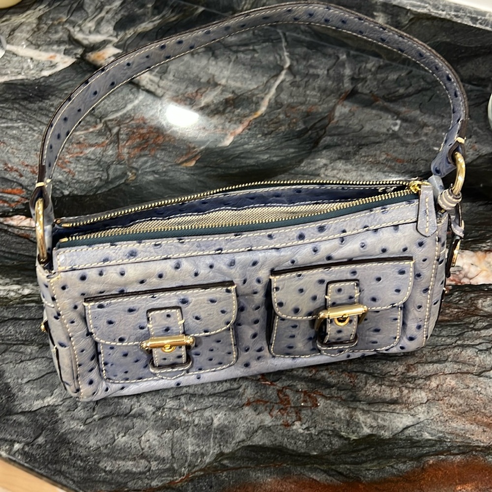 Dooney & Bourke Ostrich bag (practically vintage)
